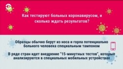 Как тестируют больных коронавирусом и как долго ждать результата теста?